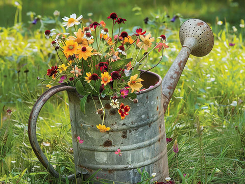 Any Can Will Do Wildflower Garden Print